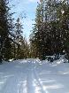 2004_0207image0046.jpg : 414x552