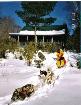 attelage7.jpg : 414x539